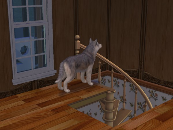 snapshot_822d6ec7_a25ff951