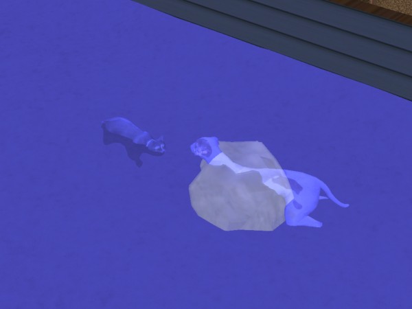 snapshot_c206f322_425bbf3c