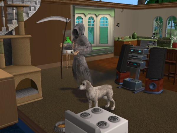 snapshot_c206f322_c25bb8c1