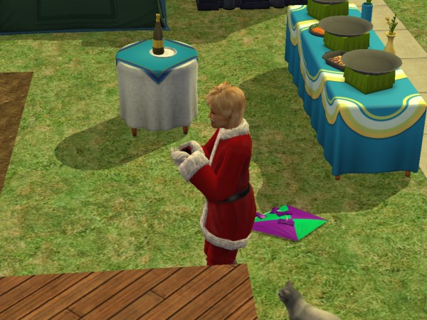 snapshot_c206f322_c25bc394