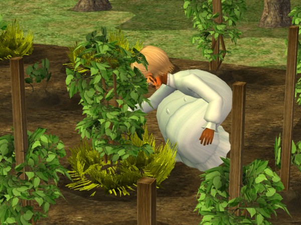 snapshot_025a2782_c2dfd968