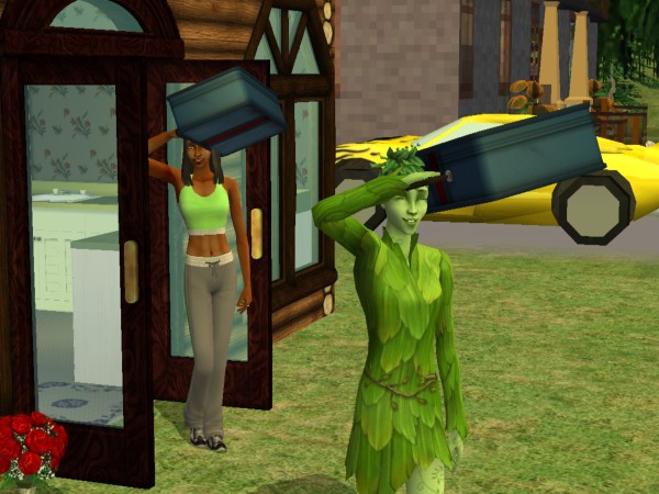 snapshot_025a2782_e2dfdb3f