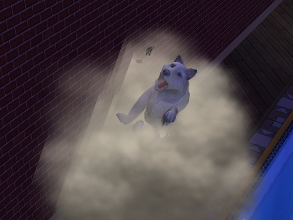 snapshot_42074dec_42e1296e