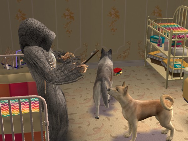 snapshot_42074dec_e2e1306a