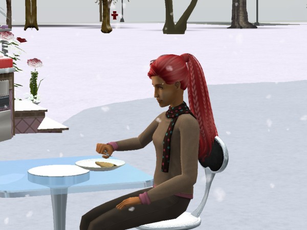 snapshot_4222f9b8_02de888a