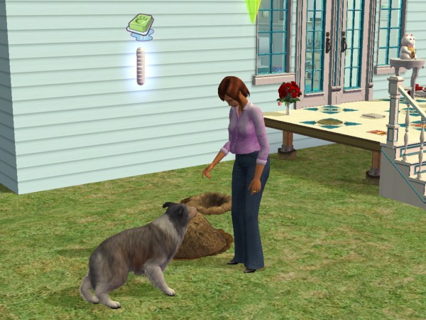 snapshot_4222f9b8_4263d2d2