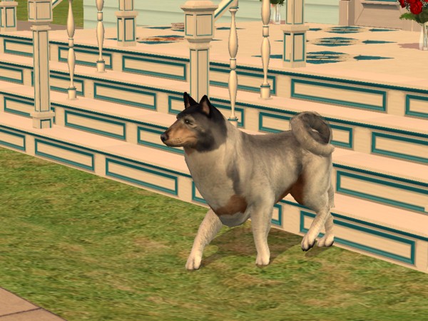 snapshot_4222f9b8_e263ef79