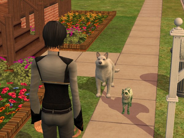 snapshot_4263afa1_a2dc89b6