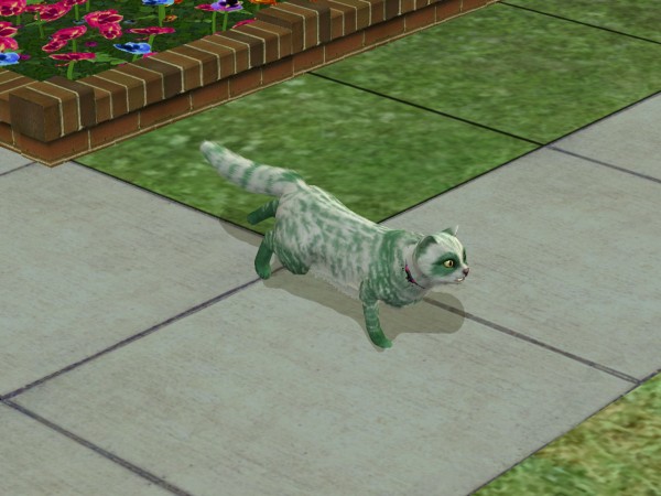 snapshot_4263afa1_e2dc7dc3