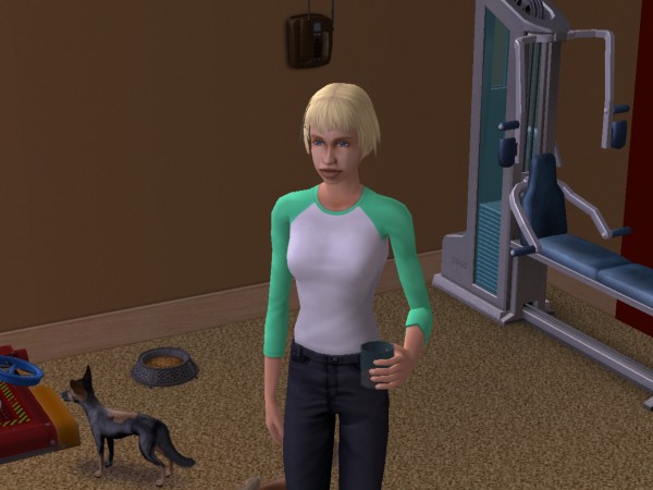 snapshot_c206f322_62dd362b