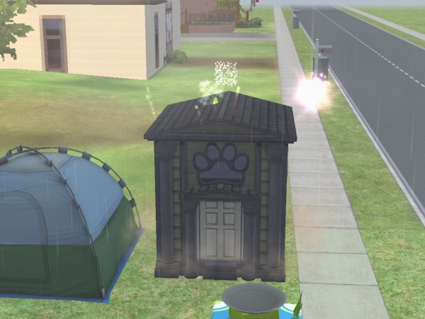 snapshot_c206f322_e2dd3a4c