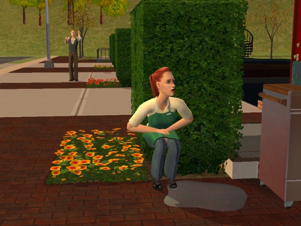 snapshot_e25bf88b_e2dc8fcd