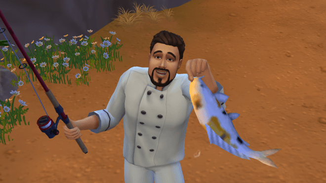 06-04-17_4-16-00 PM