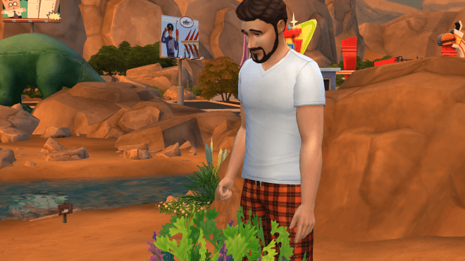 06-04-17_4-21-13 PM