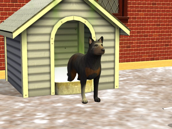 snapshot_42074dec_23018de7