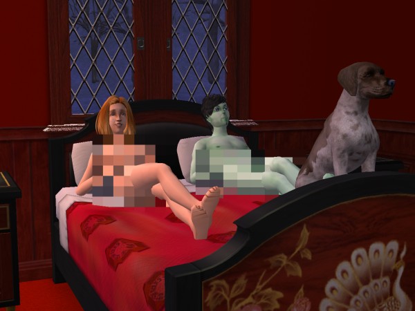 snapshot_42074dec_4301849b