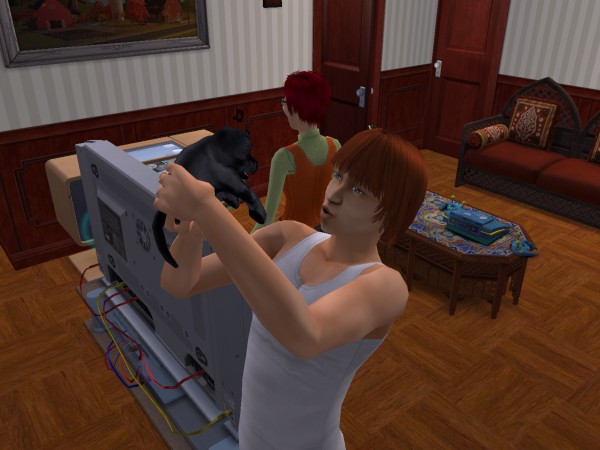 snapshot_42074dec_83017a82