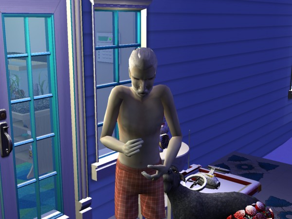 snapshot_4222f9b8_4300745a