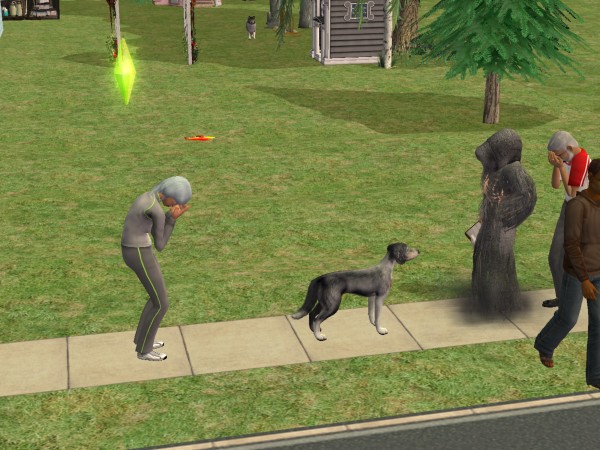 snapshot_4222f9b8_4300a000