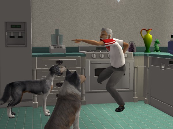 snapshot_4222f9b8_83009fad