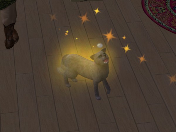 snapshot_422dbe96_c2e51f9c