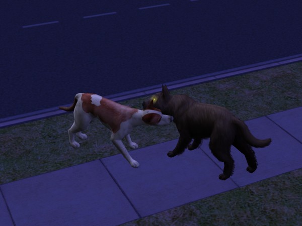 snapshot_422dbe96_c2e52028