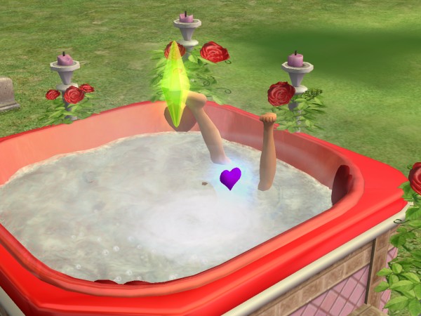 snapshot_c206f322_23003bd8