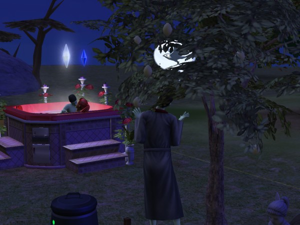 snapshot_c206f322_c30062ec